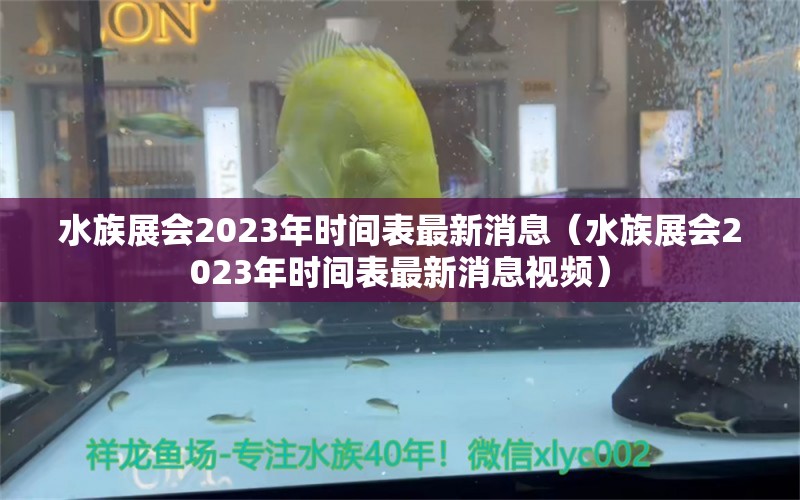 水族展会2023年时间表最新消息（水族展会2023年时间表最新消息视频）