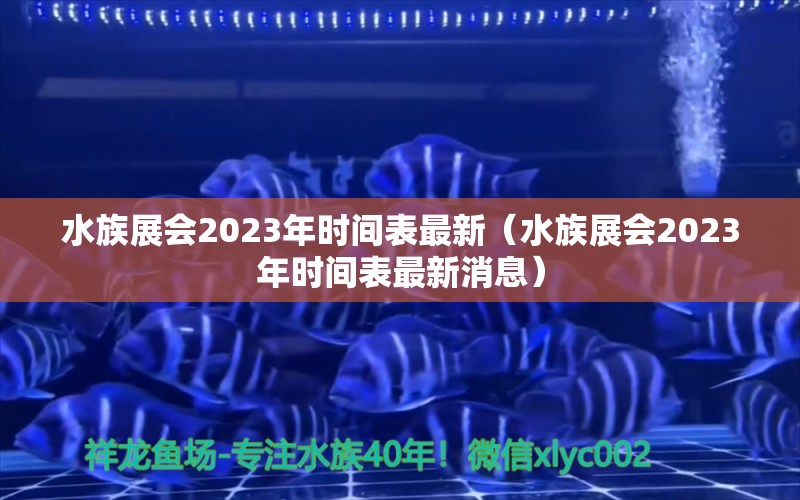 水族展会2023年时间表最新（水族展会2023年时间表最新消息） 水族展会