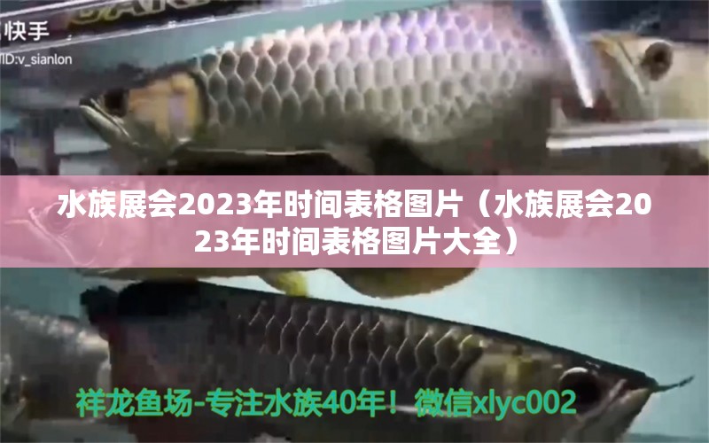 水族展会2023年时间表格图片（水族展会2023年时间表格图片大全） 水族展会