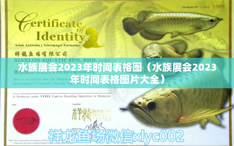 水族展会2023年时间表格图（水族展会2023年时间表格图片大全）