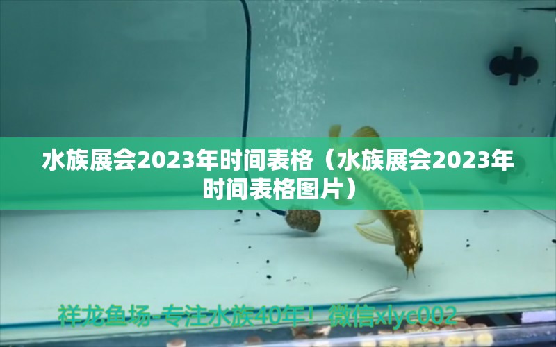 水族展会2023年时间表格（水族展会2023年时间表格图片）