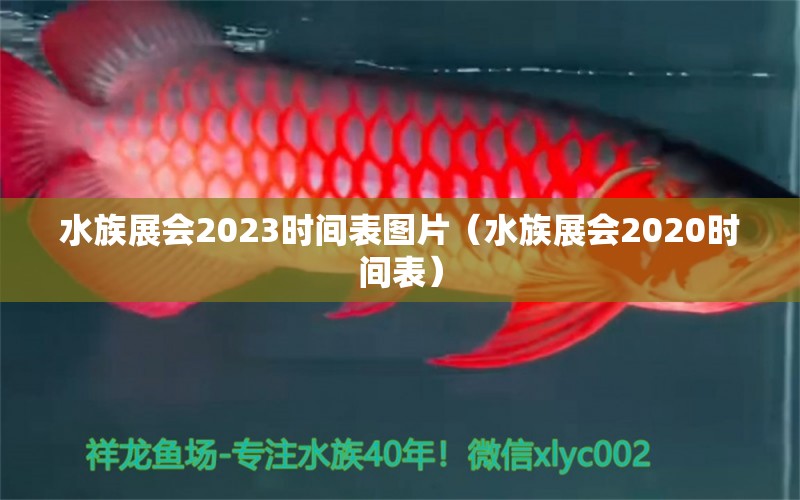 水族展会2023时间表图片（水族展会2020时间表）