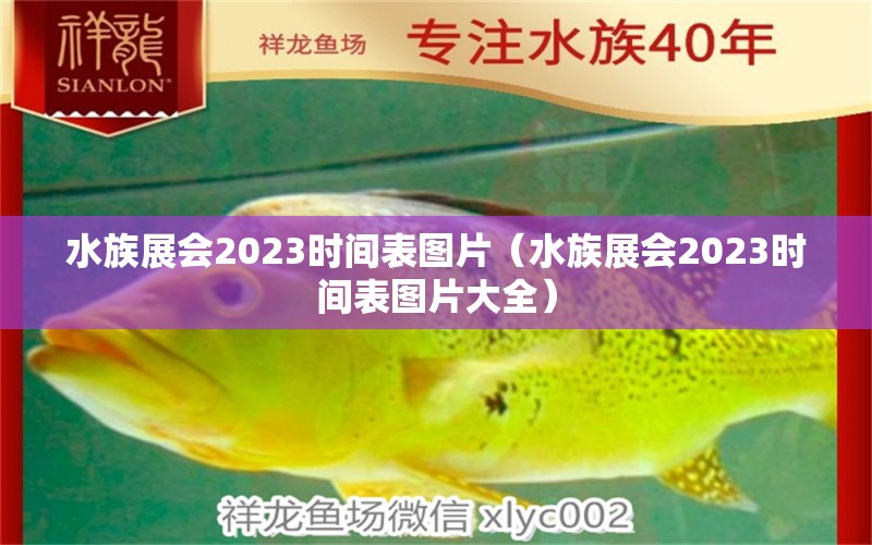 水族展会2023时间表图片（水族展会2023时间表图片大全）