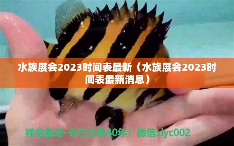 水族展会2023时间表最新（水族展会2023时间表最新消息） 水族展会