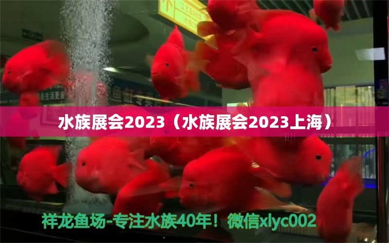 水族展会2023（水族展会2023上海）