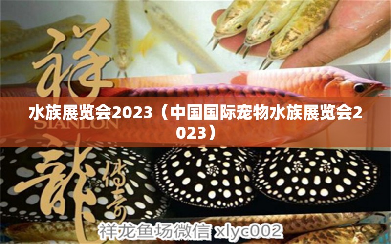 水族展览会2023（中国国际宠物水族展览会2023） 水族展会