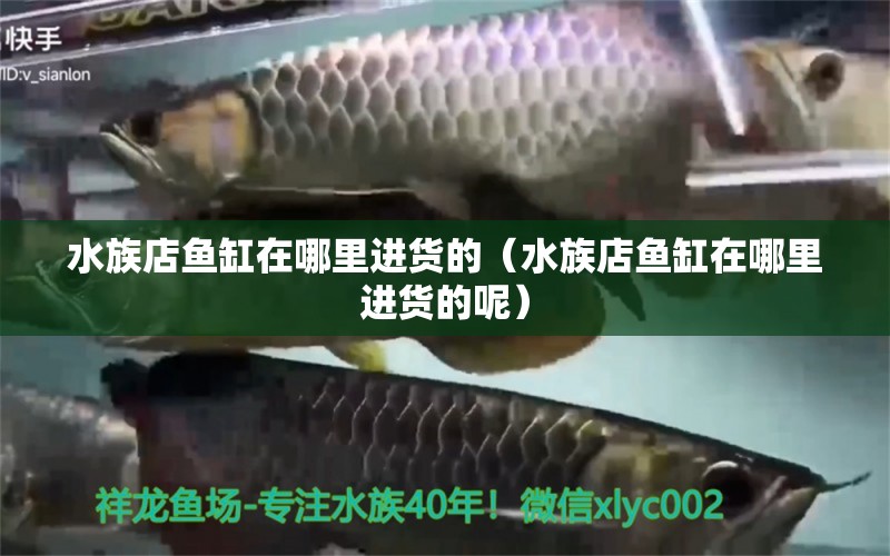 水族店鱼缸在哪里进货的（水族店鱼缸在哪里进货的呢） 野生地图鱼