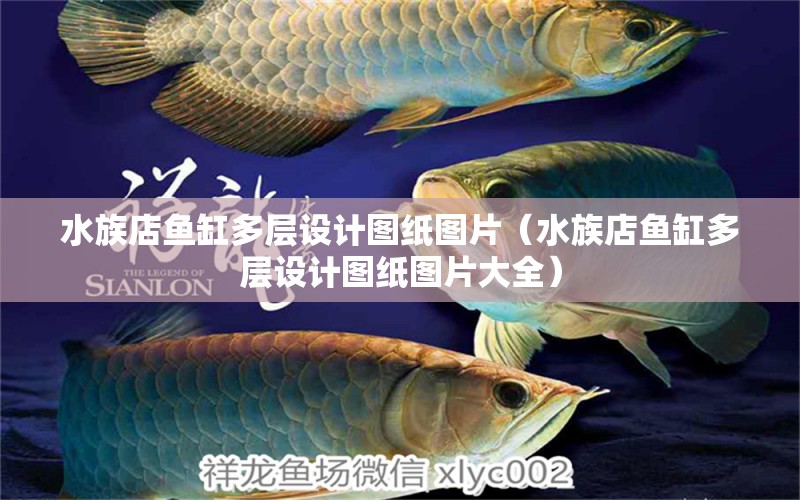 水族店鱼缸多层设计图纸图片（水族店鱼缸多层设计图纸图片大全） 量子养鱼技术