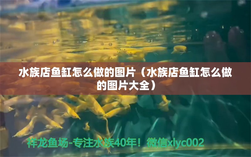 水族店鱼缸怎么做的图片（水族店鱼缸怎么做的图片大全）