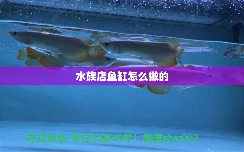 水族店鱼缸怎么做的 祥龙鱼场