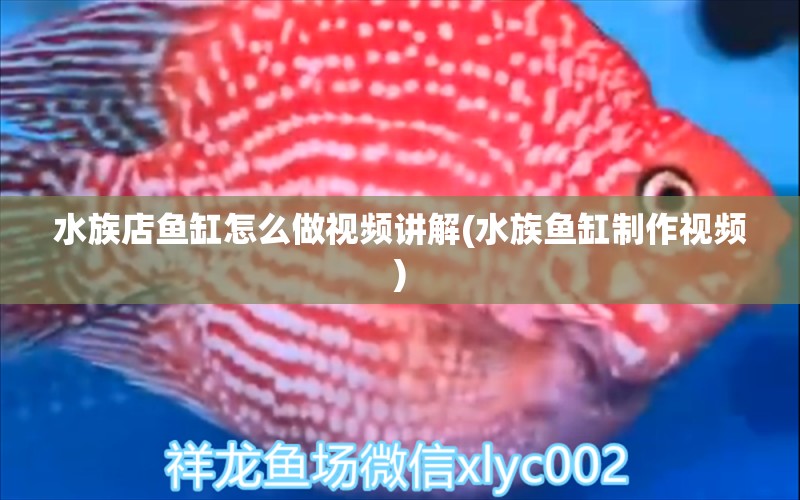 水族店鱼缸怎么做视频讲解(水族鱼缸制作视频)