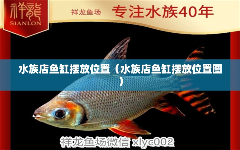 水族店鱼缸摆放位置（水族店鱼缸摆放位置图）