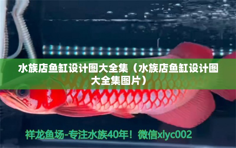 水族店鱼缸设计图大全集（水族店鱼缸设计图大全集图片）