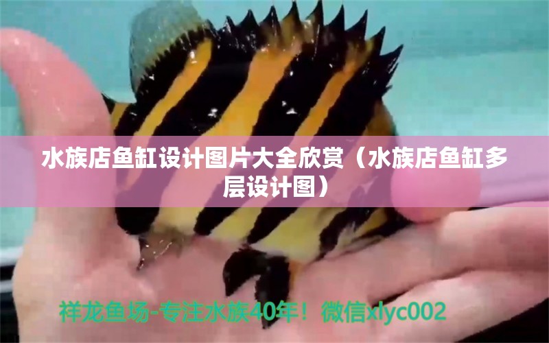 水族店鱼缸设计图片大全欣赏（水族店鱼缸多层设计图） 广州观赏鱼批发市场