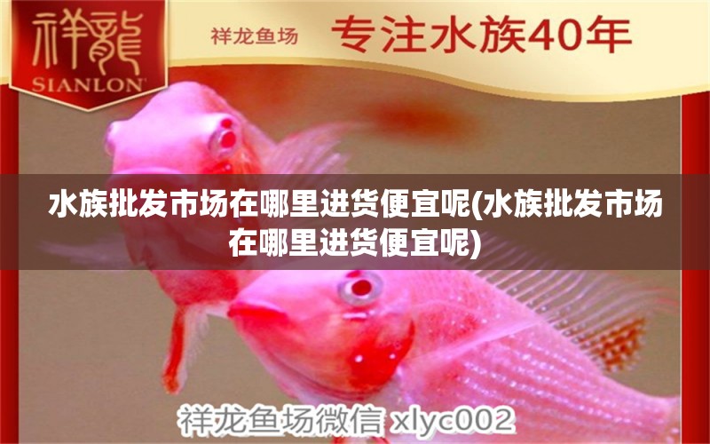 水族批发市场在哪里进货便宜呢(水族批发市场在哪里进货便宜呢) 观赏鱼水族批发市场