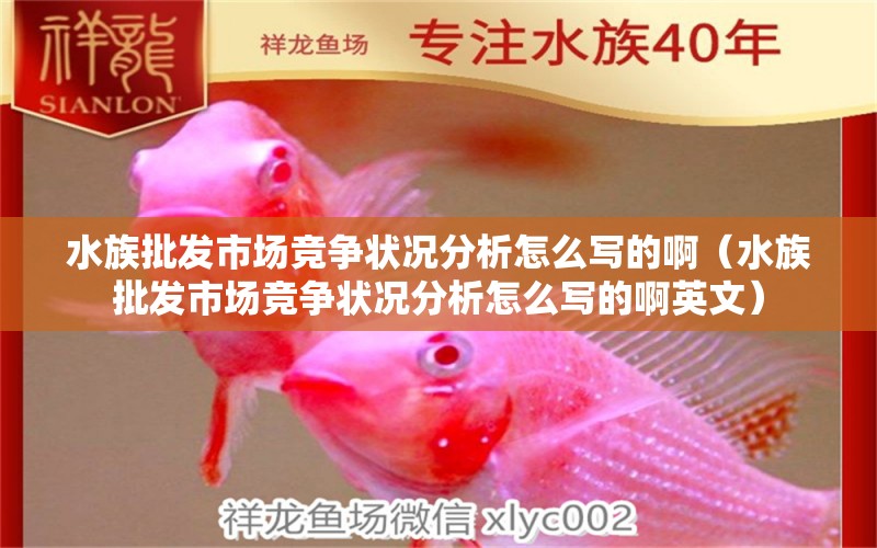 水族批发市场竞争状况分析怎么写的啊（水族批发市场竞争状况分析怎么写的啊英文）