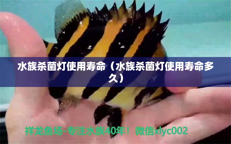 水族杀菌灯使用寿命（水族杀菌灯使用寿命多久）