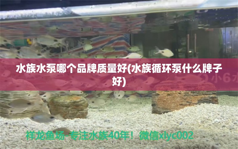 水族水泵哪个品牌质量好(水族循环泵什么牌子好)