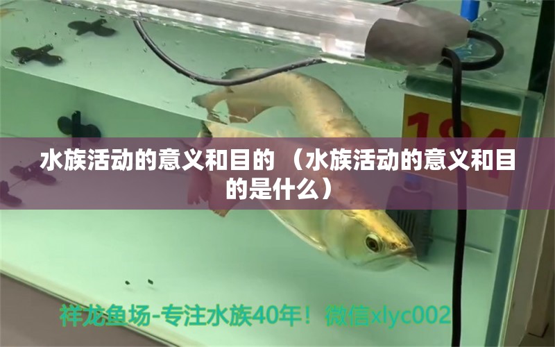 水族活动的意义和目的 （水族活动的意义和目的是什么）