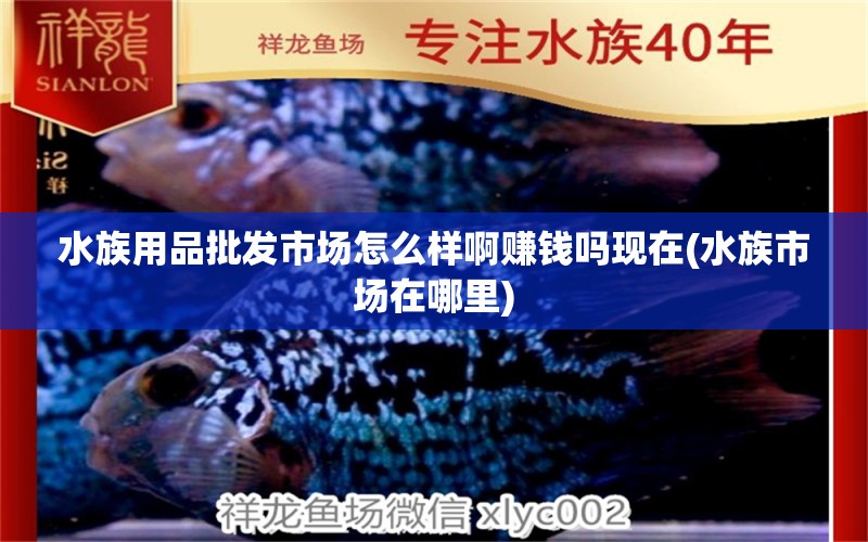 水族用品批发市场怎么样啊赚钱吗现在(水族市场在哪里) 水族用品