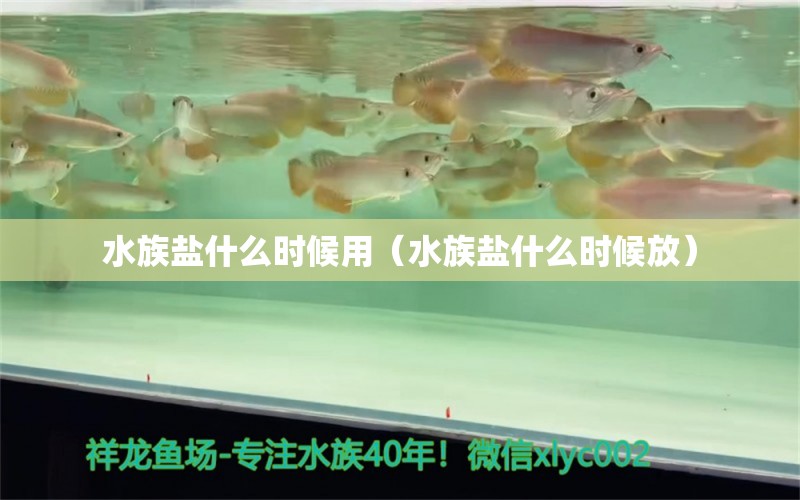 水族盐什么时候用（水族盐什么时候放）