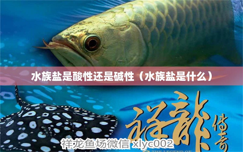 水族盐是酸性还是碱性（水族盐是什么）