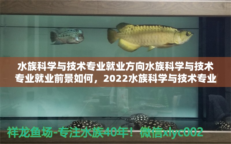 水族科学与技术专业就业方向水族科学与技术专业就业前景如何，2022水族科学与技术专业就业方向 喷点菠萝鱼 第1张