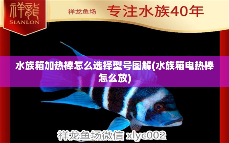 水族箱加热棒怎么选择型号图解(水族箱电热棒怎么放) 鱼缸/水族箱