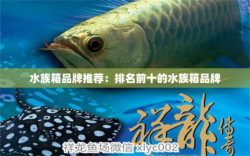 水族箱品牌推荐：排名前十的水族箱品牌