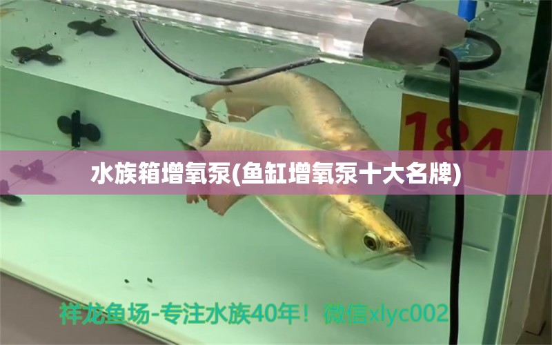 水族箱增氧泵(鱼缸增氧泵十大名牌)