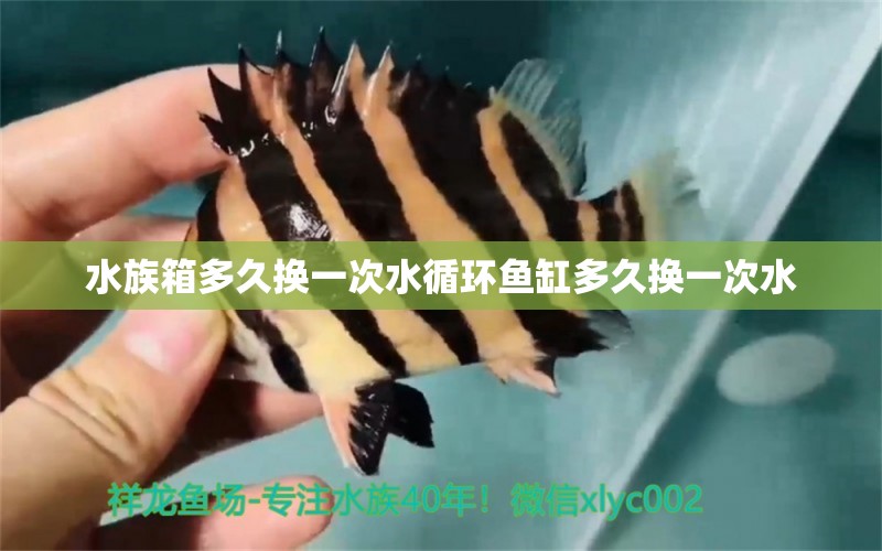 水族箱多久换一次水循环鱼缸多久换一次水 鱼缸水泵 第2张