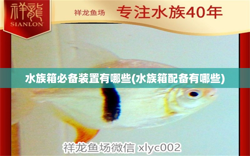 水族箱必备装置有哪些(水族箱配备有哪些) 鱼缸/水族箱