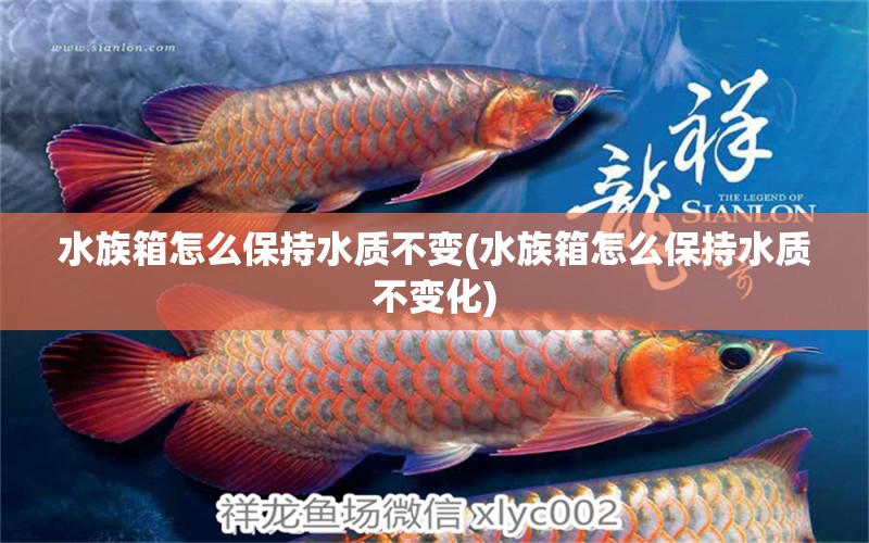 水族箱怎么保持水质不变(水族箱怎么保持水质不变化) 鱼缸/水族箱