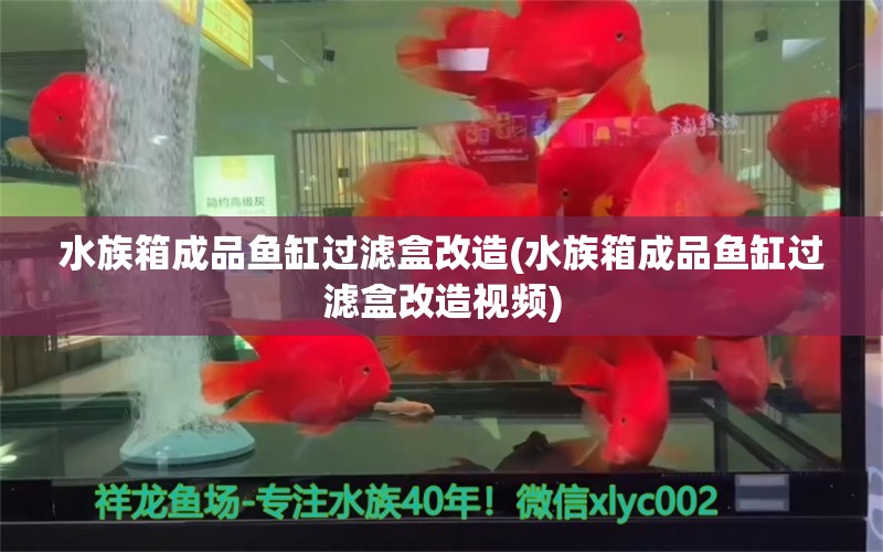 水族箱成品鱼缸过滤盒改造(水族箱成品鱼缸过滤盒改造视频) 鱼缸/水族箱 第1张