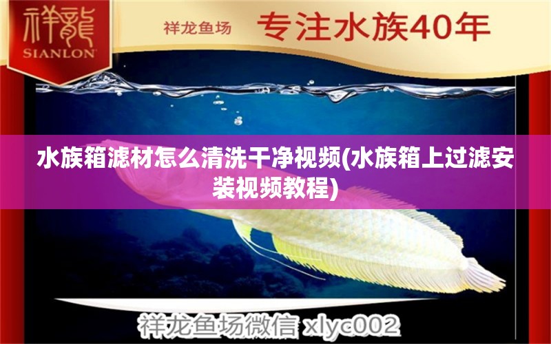 水族箱滤材怎么清洗干净视频(水族箱上过滤安装视频教程) 鱼缸/水族箱