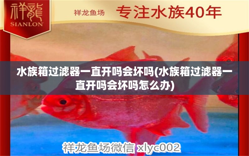 水族箱过滤器一直开吗会坏吗(水族箱过滤器一直开吗会坏吗怎么办) 鱼缸/水族箱