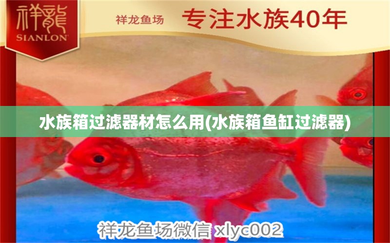 水族箱过滤器材怎么用(水族箱鱼缸过滤器) 鱼缸/水族箱