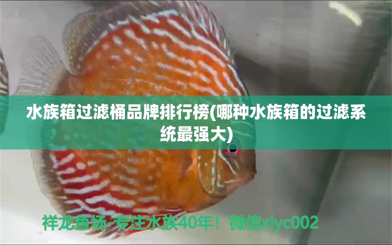 水族箱过滤桶品牌排行榜(哪种水族箱的过滤系统最强大)