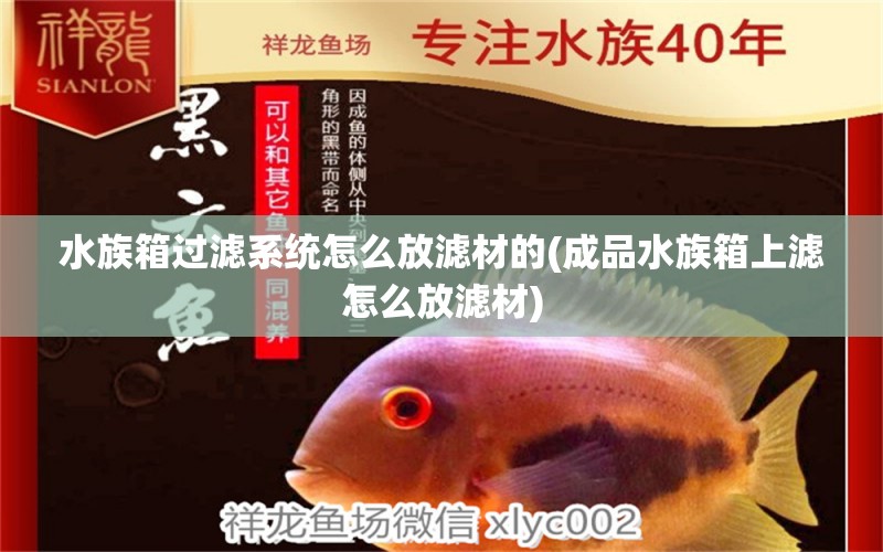 水族箱过滤系统怎么放滤材的(成品水族箱上滤怎么放滤材) 鱼缸/水族箱