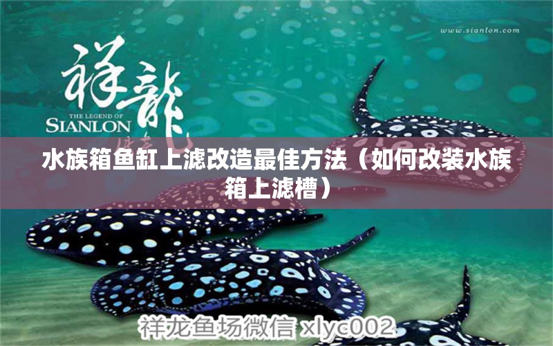 水族箱鱼缸上滤改造最佳方法（如何改装水族箱上滤槽）