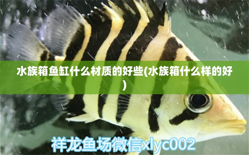 水族箱鱼缸什么材质的好些(水族箱什么样的好) 鱼缸/水族箱