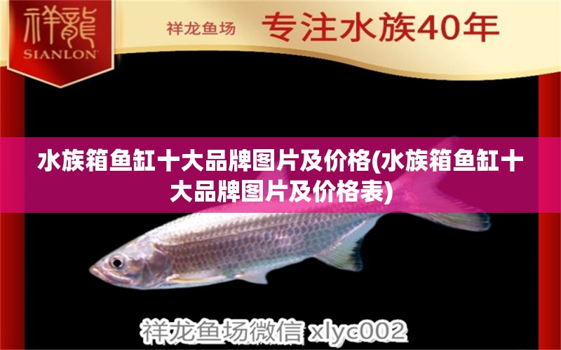 水族箱鱼缸十大品牌图片及价格(水族箱鱼缸十大品牌图片及价格表) 鱼缸/水族箱