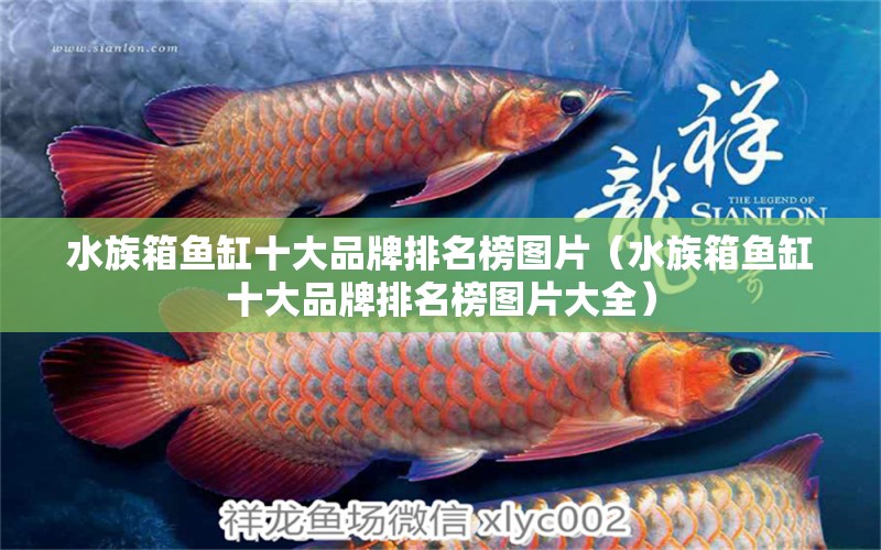 水族箱鱼缸十大品牌排名榜图片（水族箱鱼缸十大品牌排名榜图片大全）