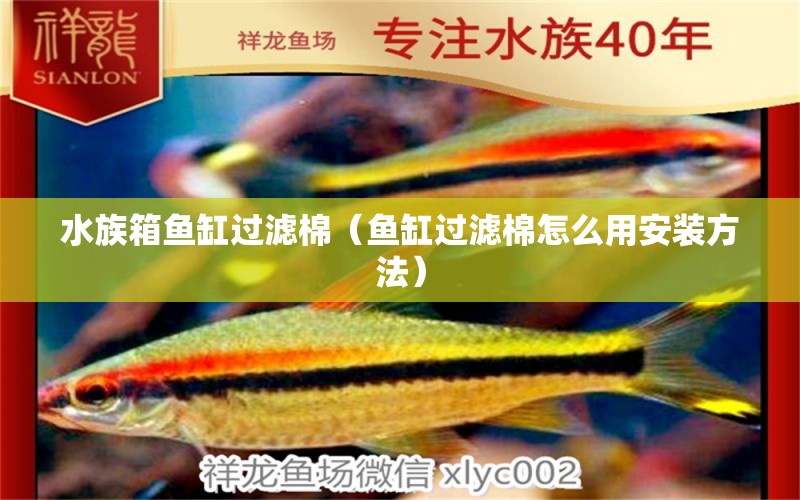 水族箱鱼缸过滤棉（鱼缸过滤棉怎么用安装方法） 泰庞海莲鱼