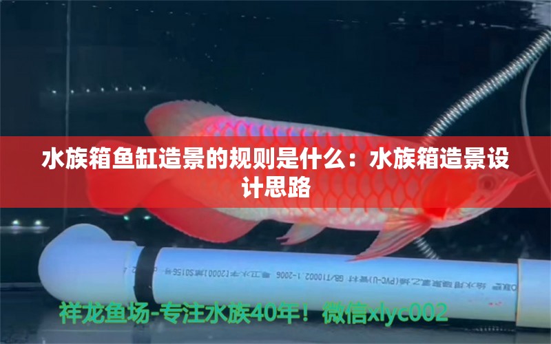 水族箱鱼缸造景的规则是什么：水族箱造景设计思路 雪龙鱼 第1张