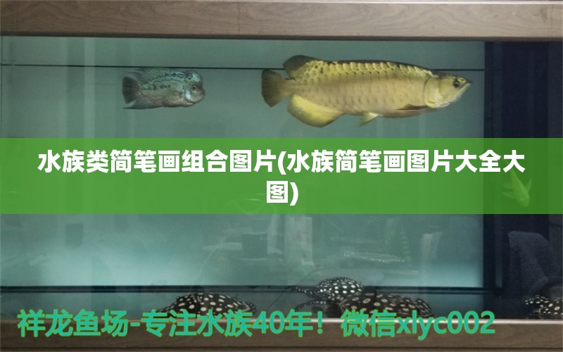 水族类简笔画组合图片(水族简笔画图片大全大图) 观赏虾蟹等饲料