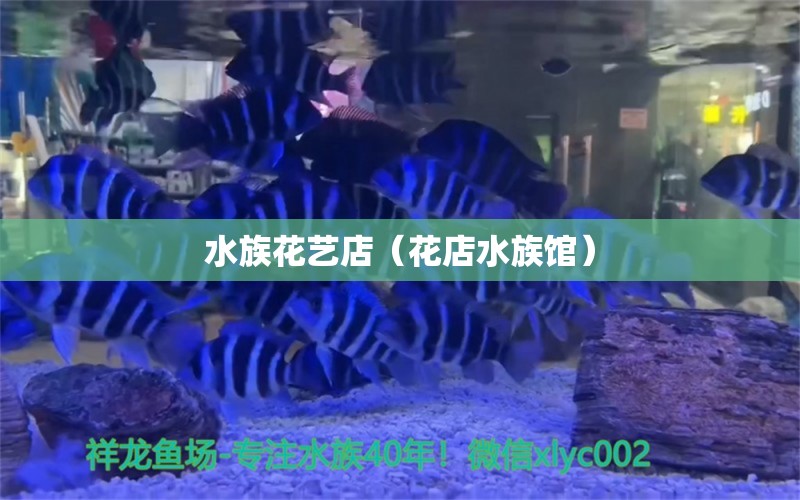 水族花艺店（花店水族馆）