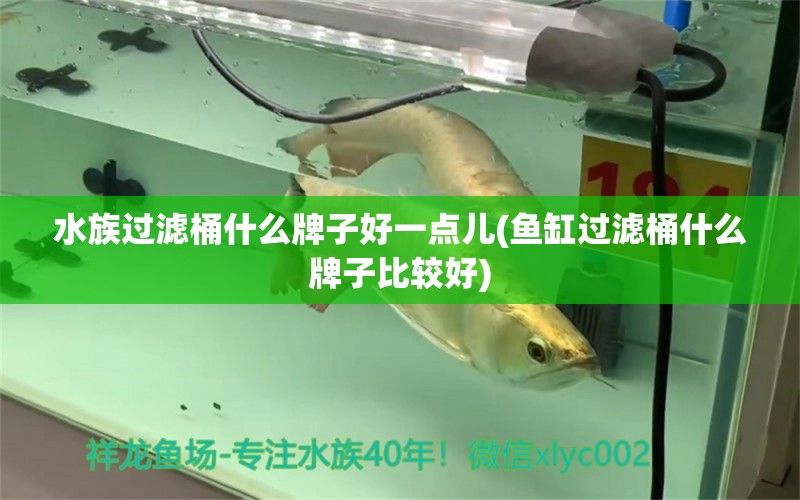 水族过滤桶什么牌子好一点儿(鱼缸过滤桶什么牌子比较好) 稀有金龙鱼