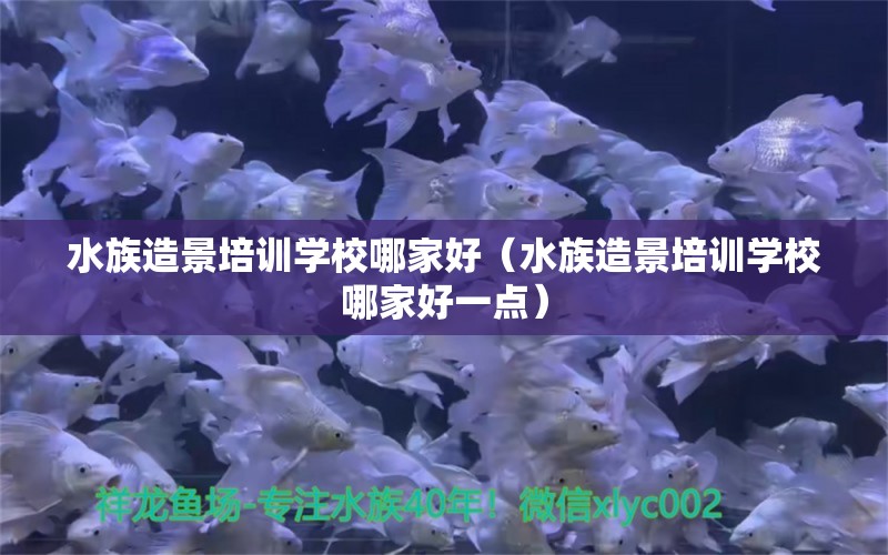 水族造景培训学校哪家好（水族造景培训学校哪家好一点）