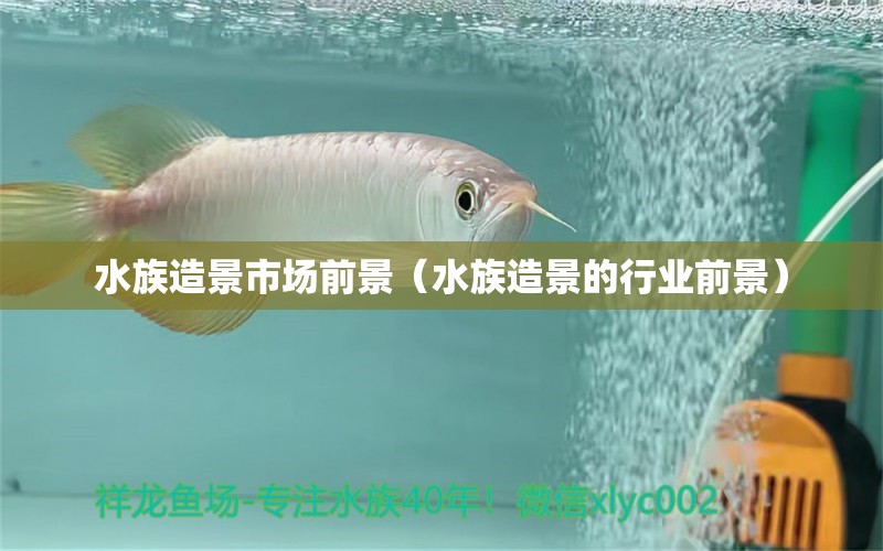 水族造景市场前景（水族造景的行业前景）